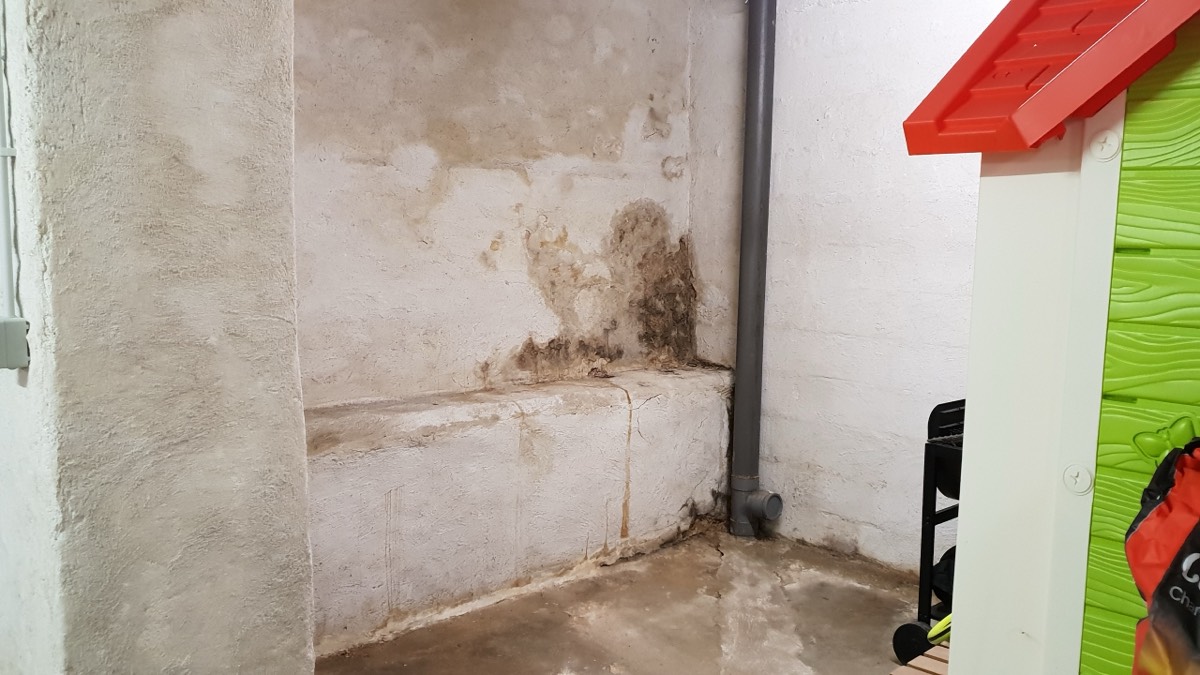 Infiltrations d'eau - Expertise humidité à Troyes